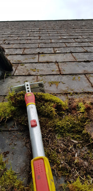 Roof moss removal
