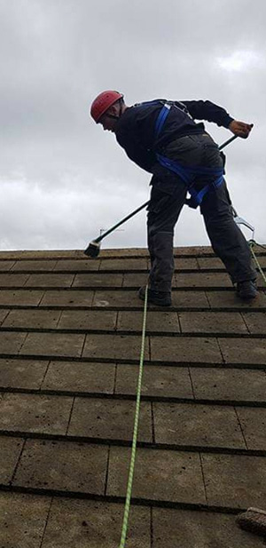 Roof Cleaning